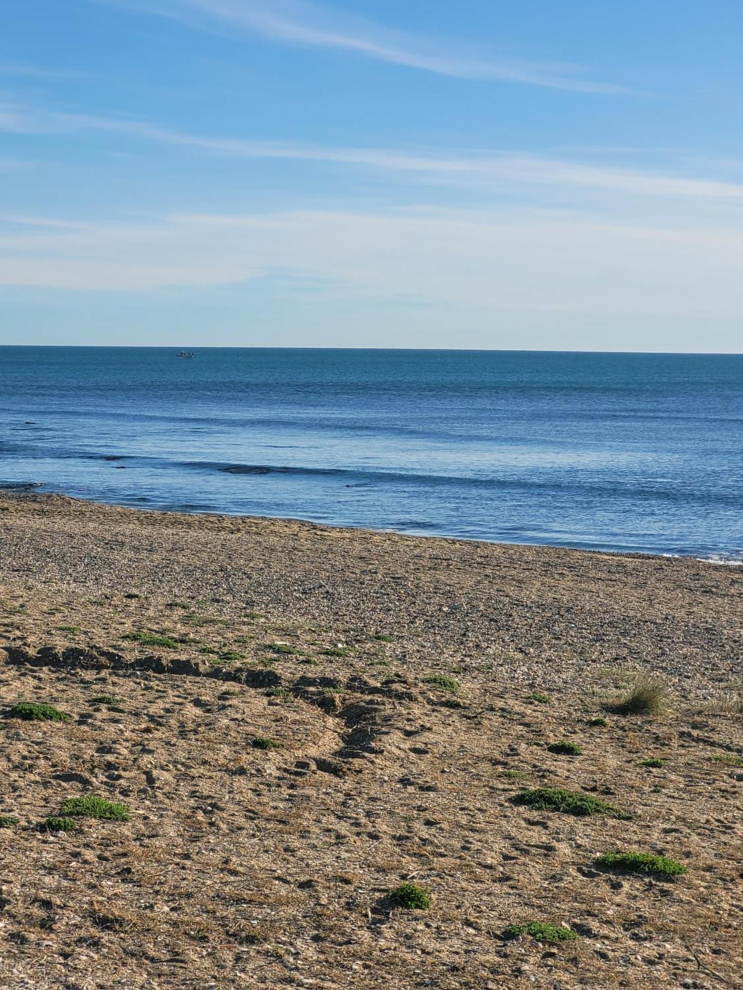 Apartamento Studio Agde Exterior foto